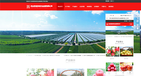 企業(yè)網(wǎng)站、程序軟件App解決方案